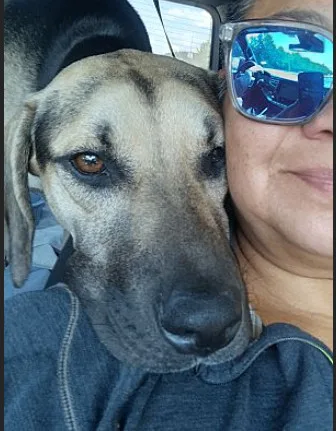 Chip The Most Incredible thumbnail 3