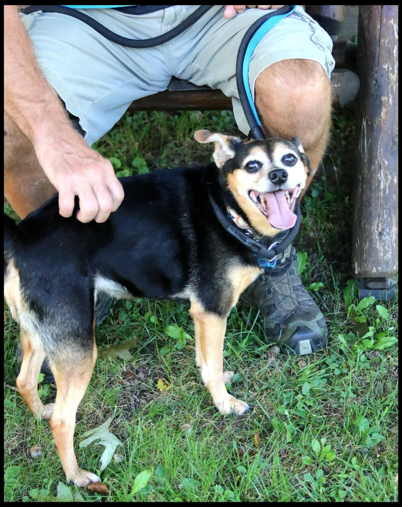 Sadie Mae thumbnail 2