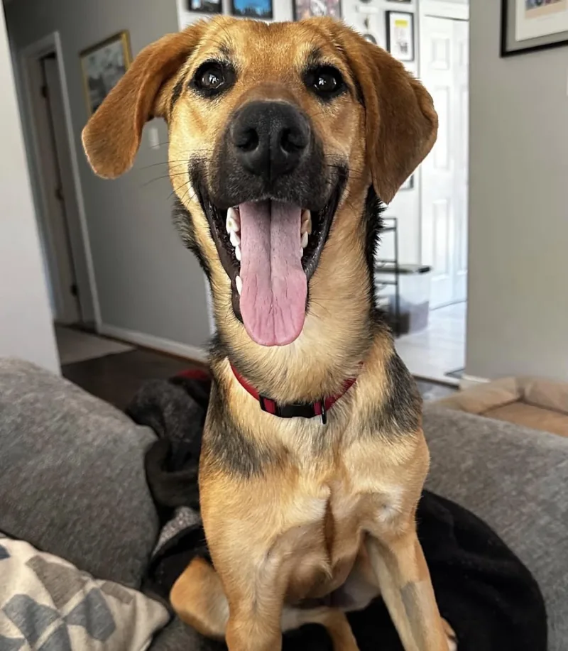 Padme Amidala thumbnail 2