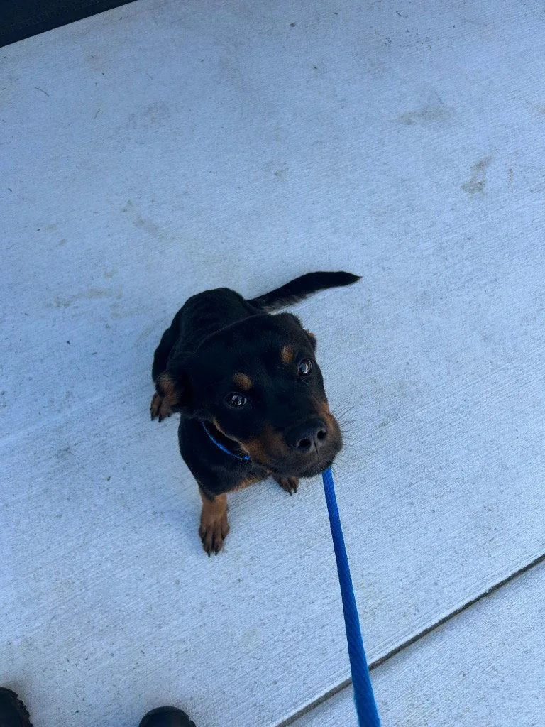 Murphy thumbnail 2