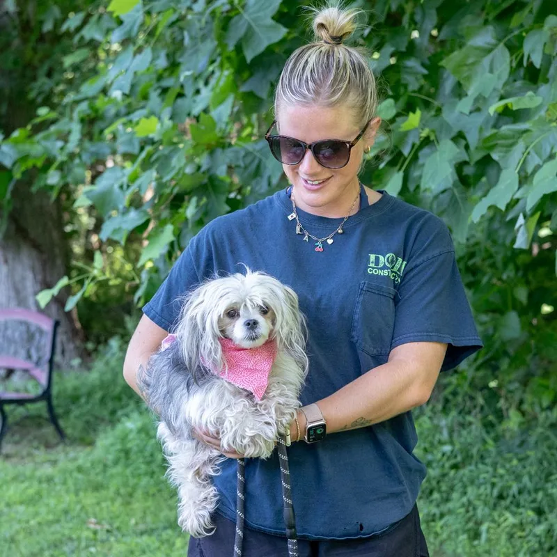 An adult small-sized female White / Cream Poodle dog named MiracleAvail for adoption in West Grove, PA