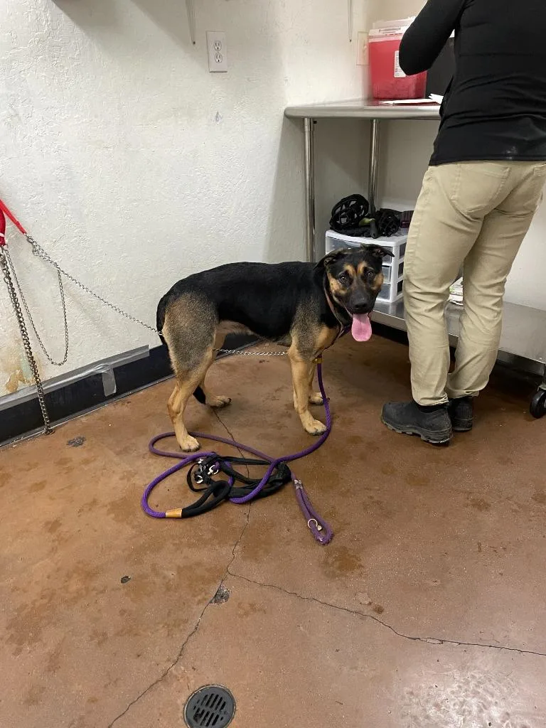 Hannah Montana thumbnail 2