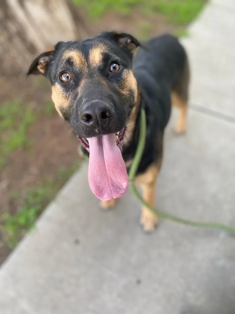 Hannah Montana thumbnail 3