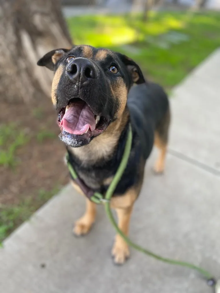 Hannah Montana thumbnail 4