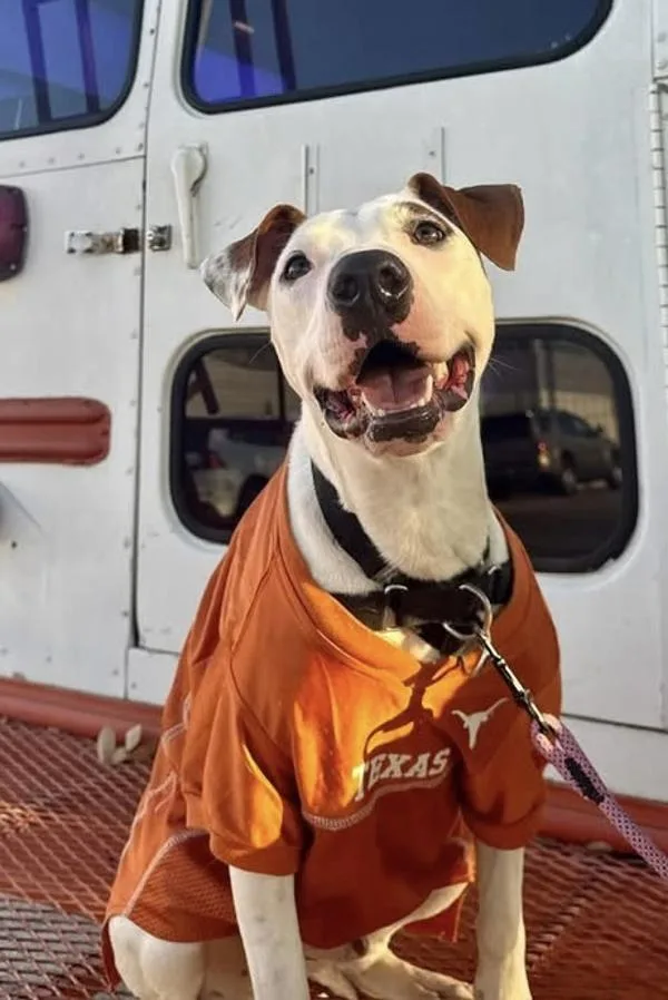 Schnucki thumbnail 2