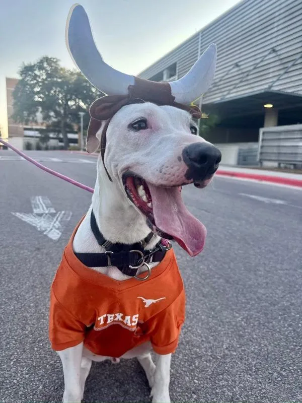 Schnucki thumbnail 6