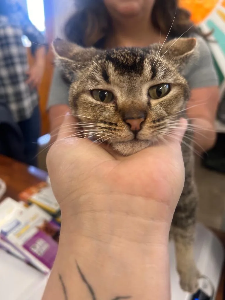 Mallorie thumbnail 2