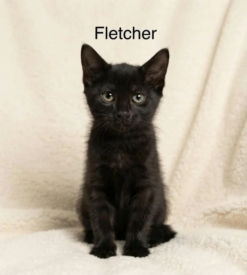 Fletcher