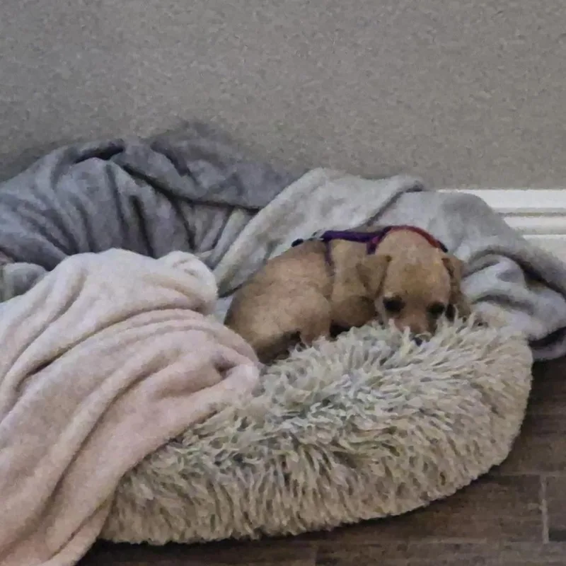 Liz Lemon thumbnail 2