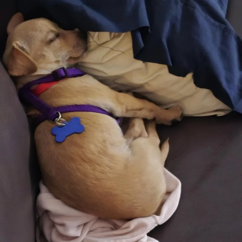 Liz Lemon thumbnail 6