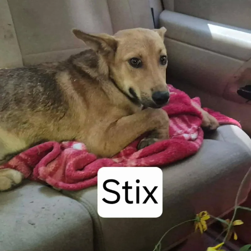 Stix