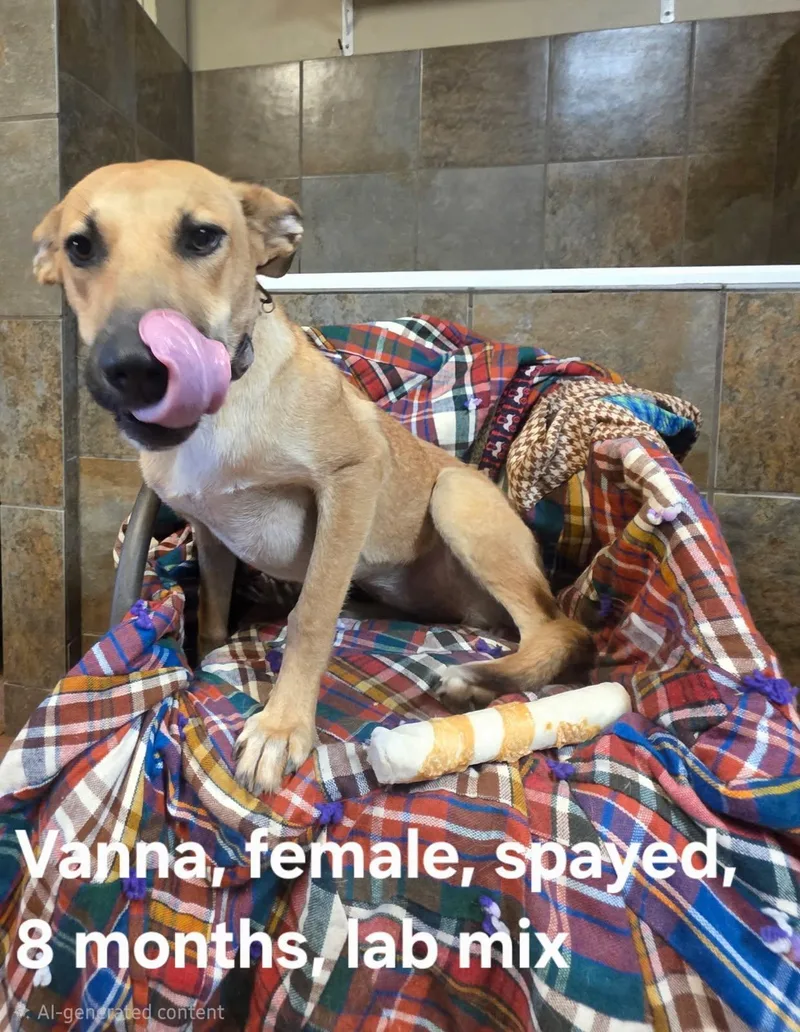 Vanna thumbnail 2