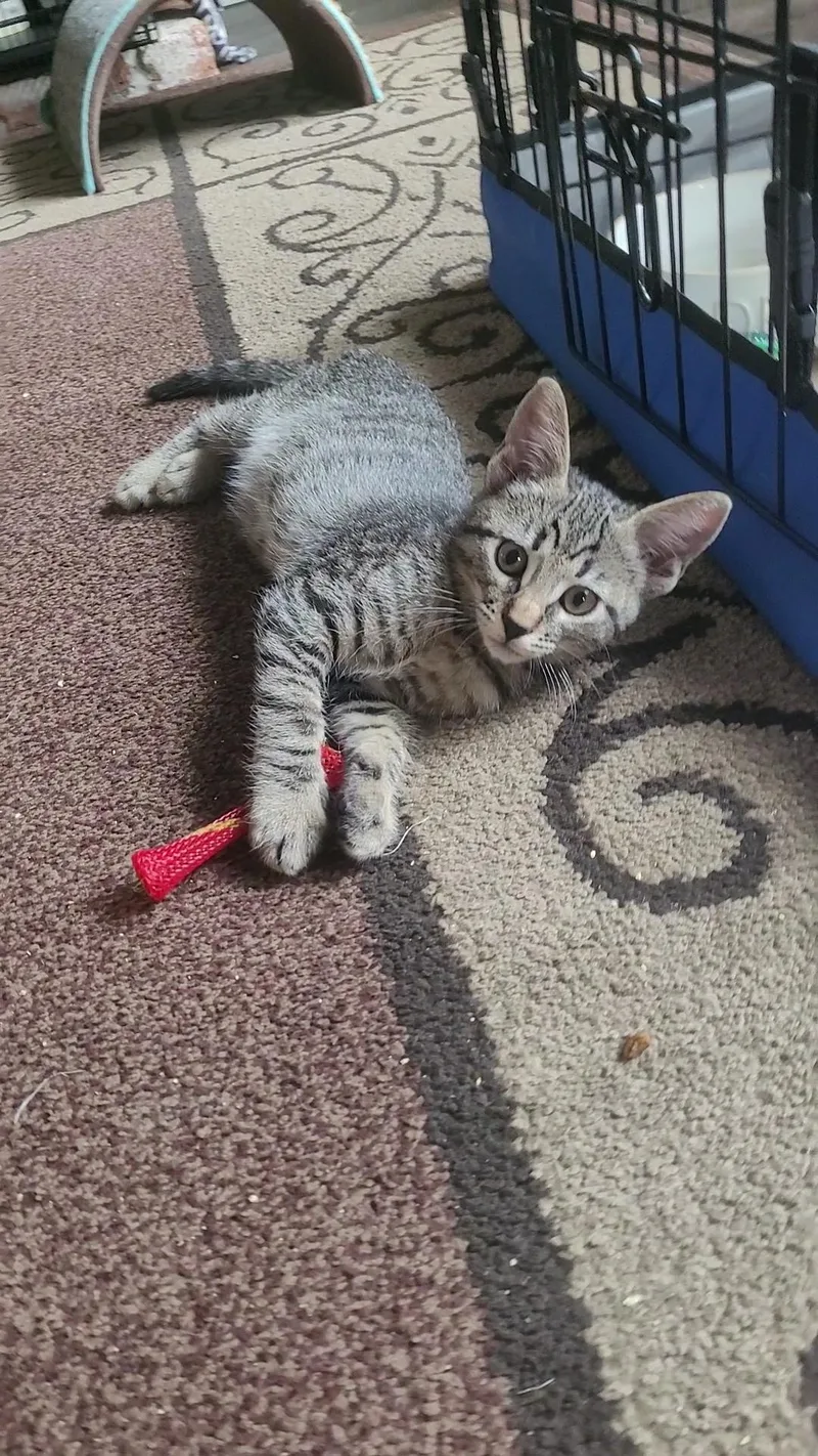Moe thumbnail 2