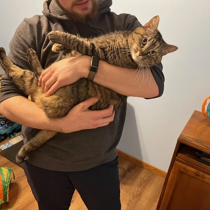 Abby thumbnail 3