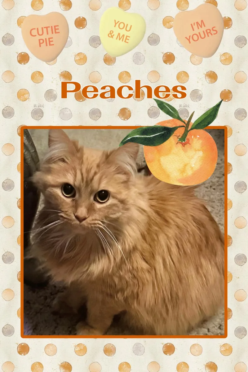 Peaches