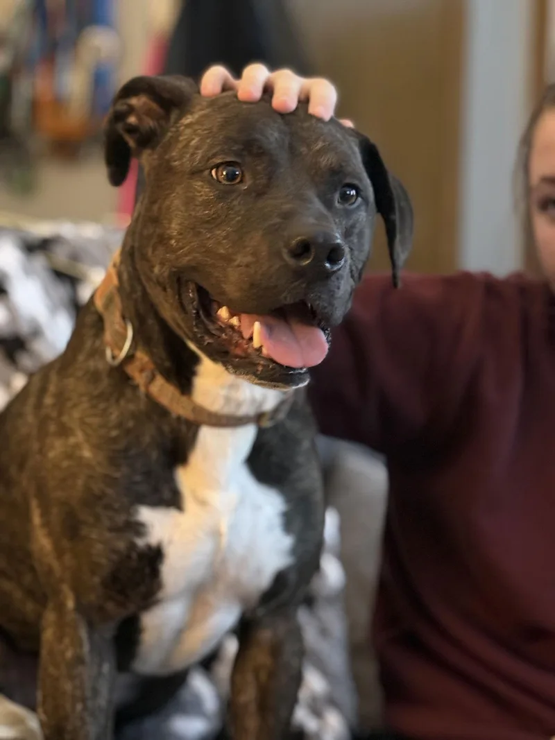 Ferris D thumbnail 2