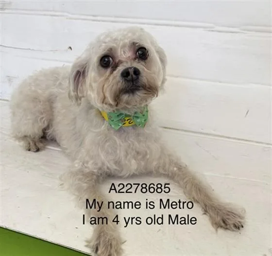 Metro