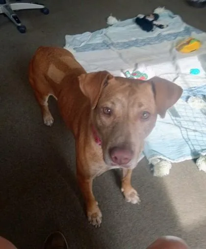 Meg thumbnail 3