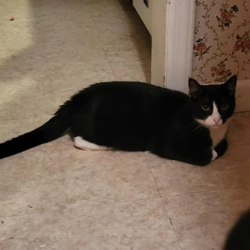 Loretta Bonded To Dolly thumbnail 2