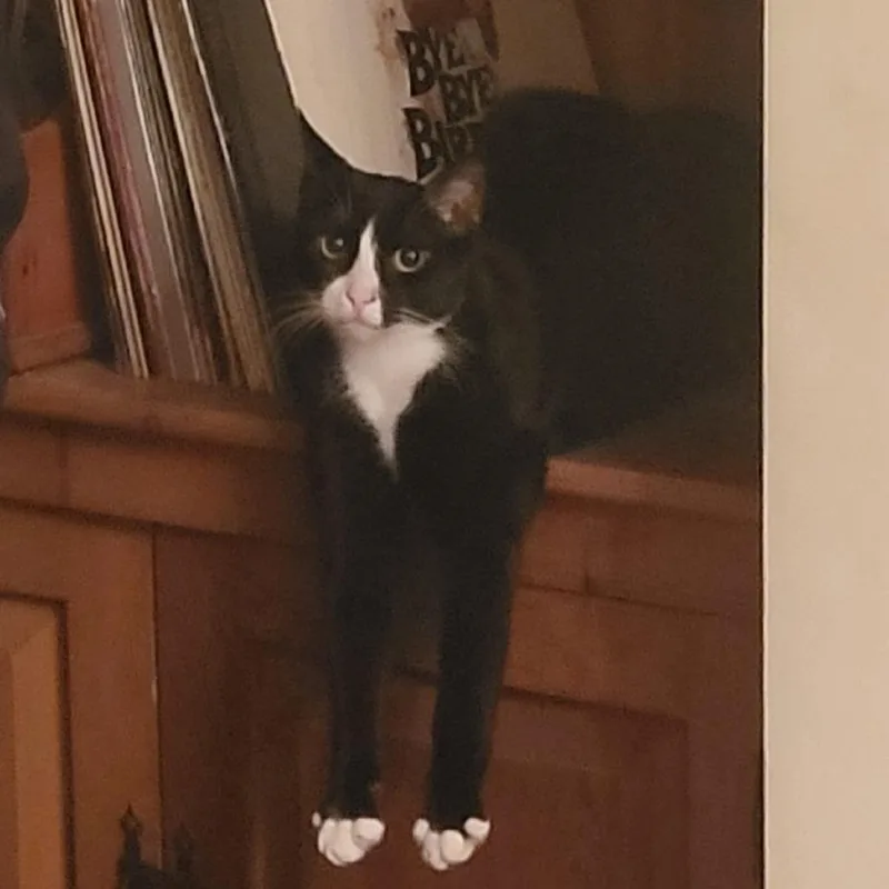 Loretta Bonded To Dolly thumbnail 3