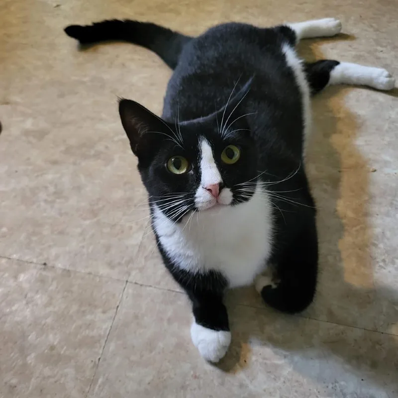 Loretta Bonded To Dolly thumbnail 5