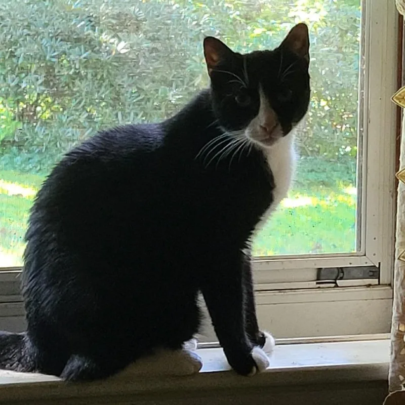 Loretta Bonded To Dolly thumbnail 6