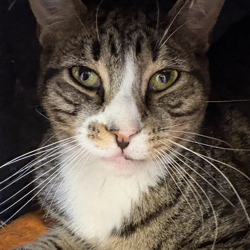 Mars Bonded With Magnolia thumbnail 2