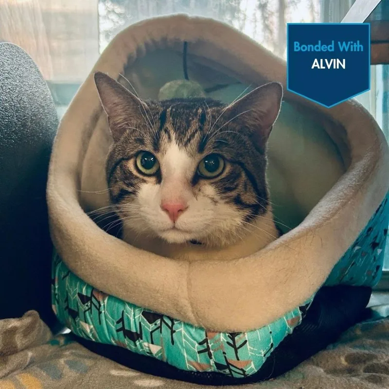 Simon [red] thumbnail 3