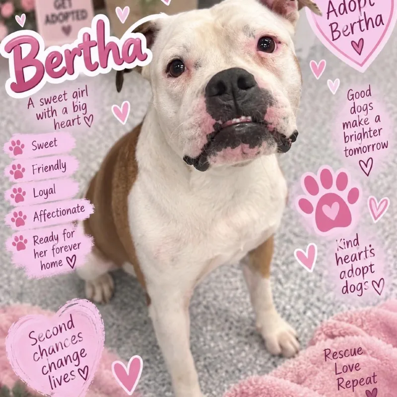 Bertha thumbnail 2