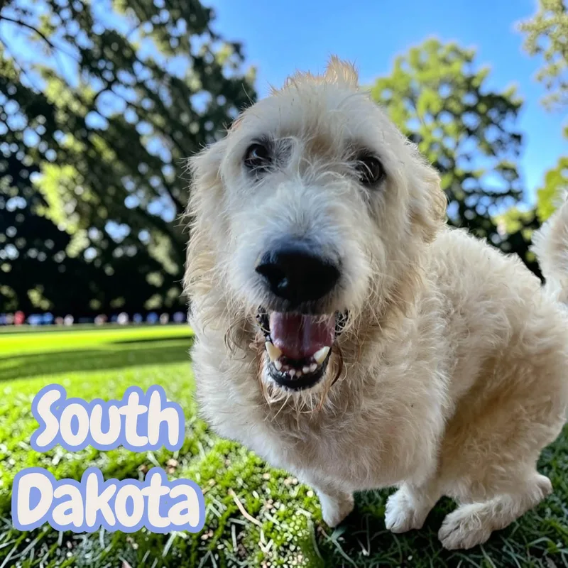 South Dakota  sweet thumbnail 5