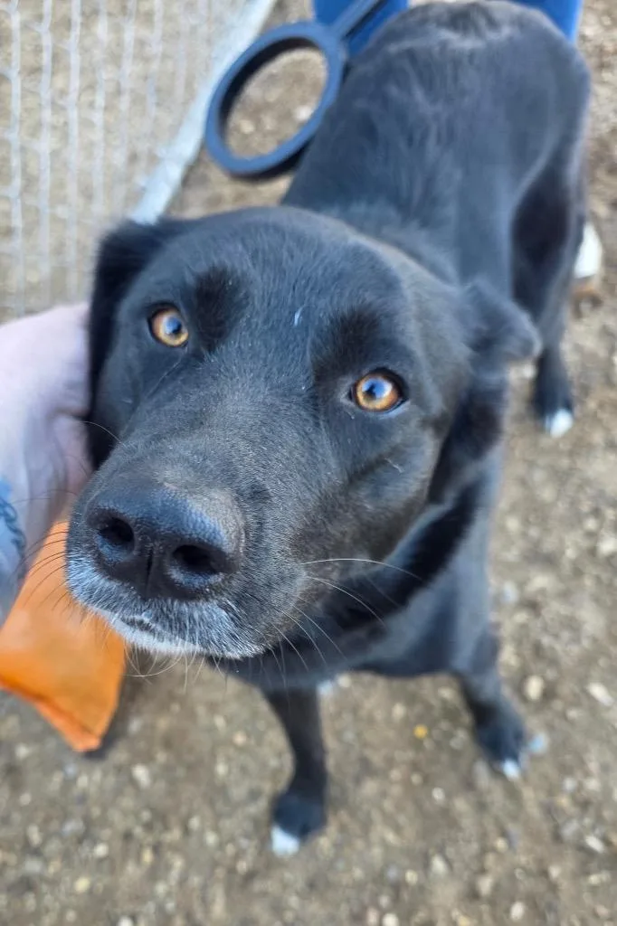 Zoey thumbnail 2