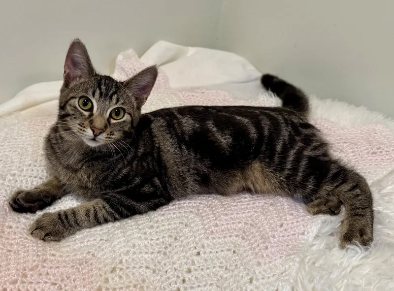 Jessi thumbnail 2