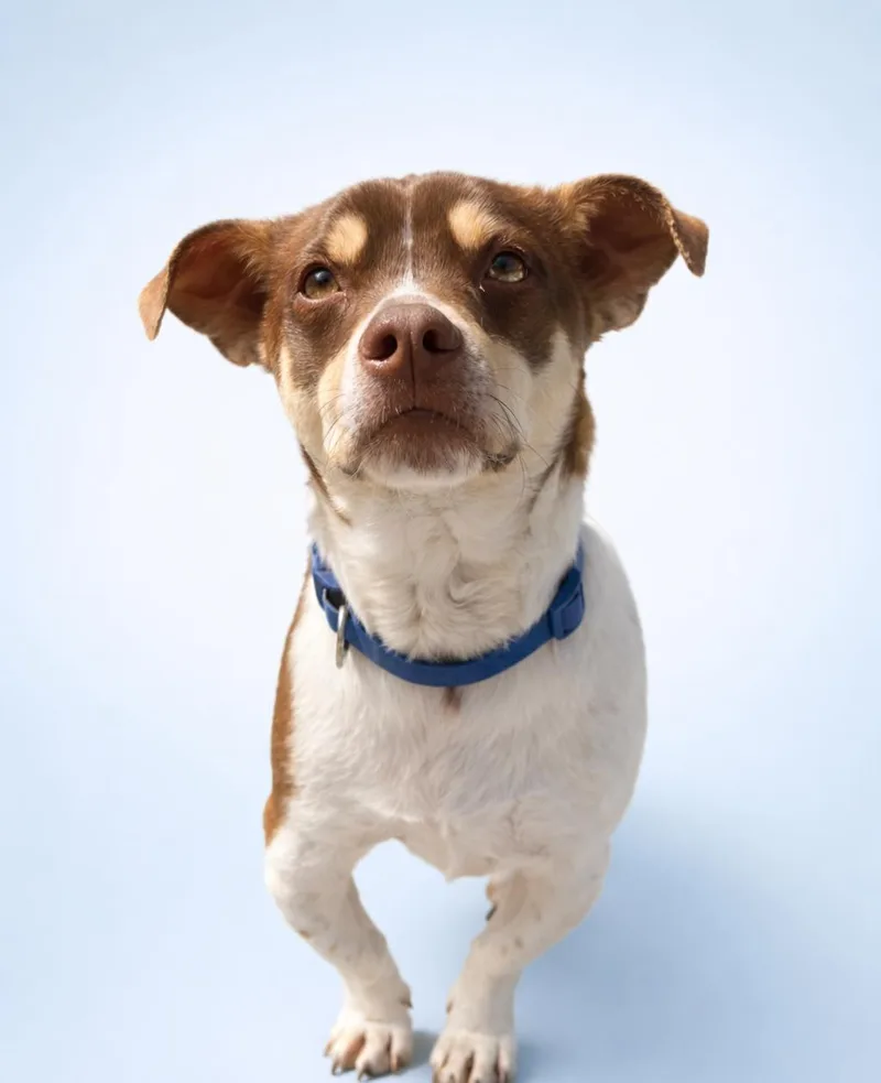 Wabi Sabi thumbnail 2