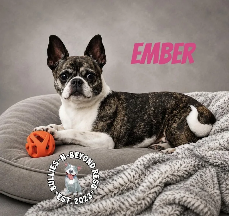 Ember thumbnail 2