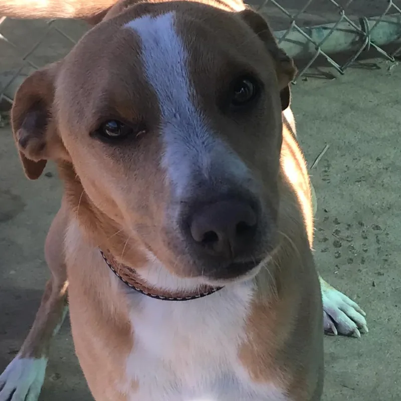 Ferris Bueller thumbnail 2