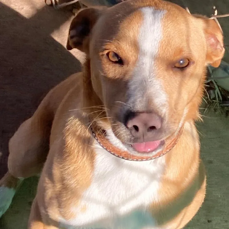 Ferris Bueller thumbnail 3