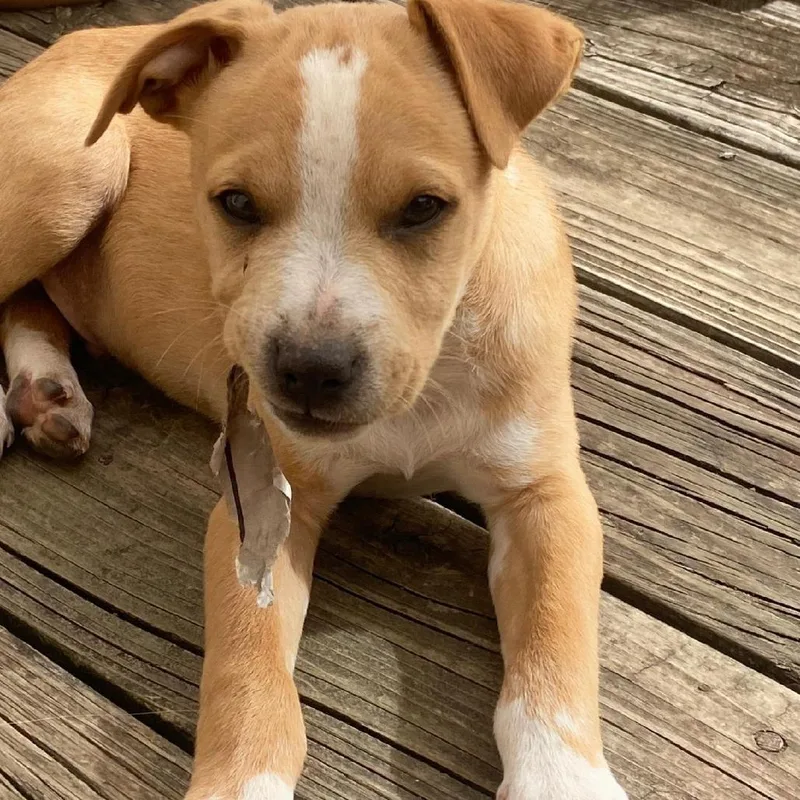 Ferris Bueller thumbnail 6