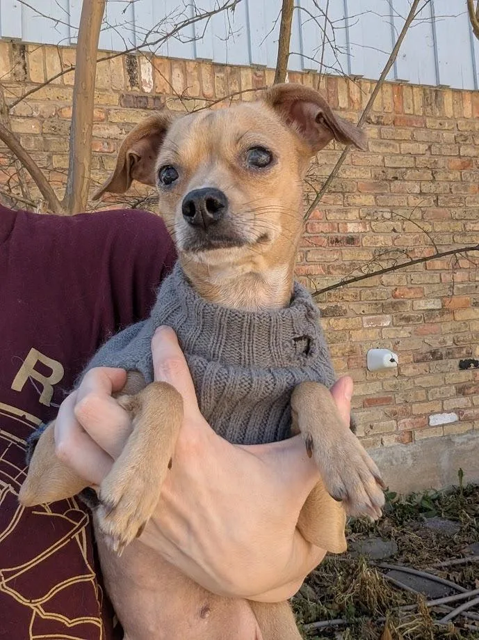 Mia  OR thumbnail 3