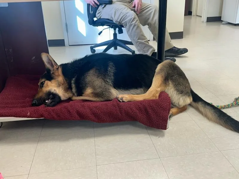 Otto Kemp thumbnail 2