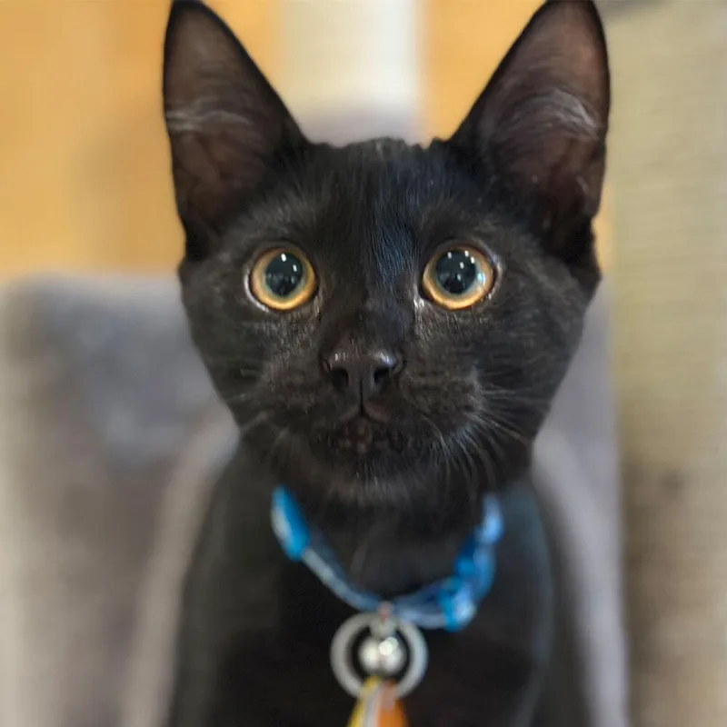 Ricky
