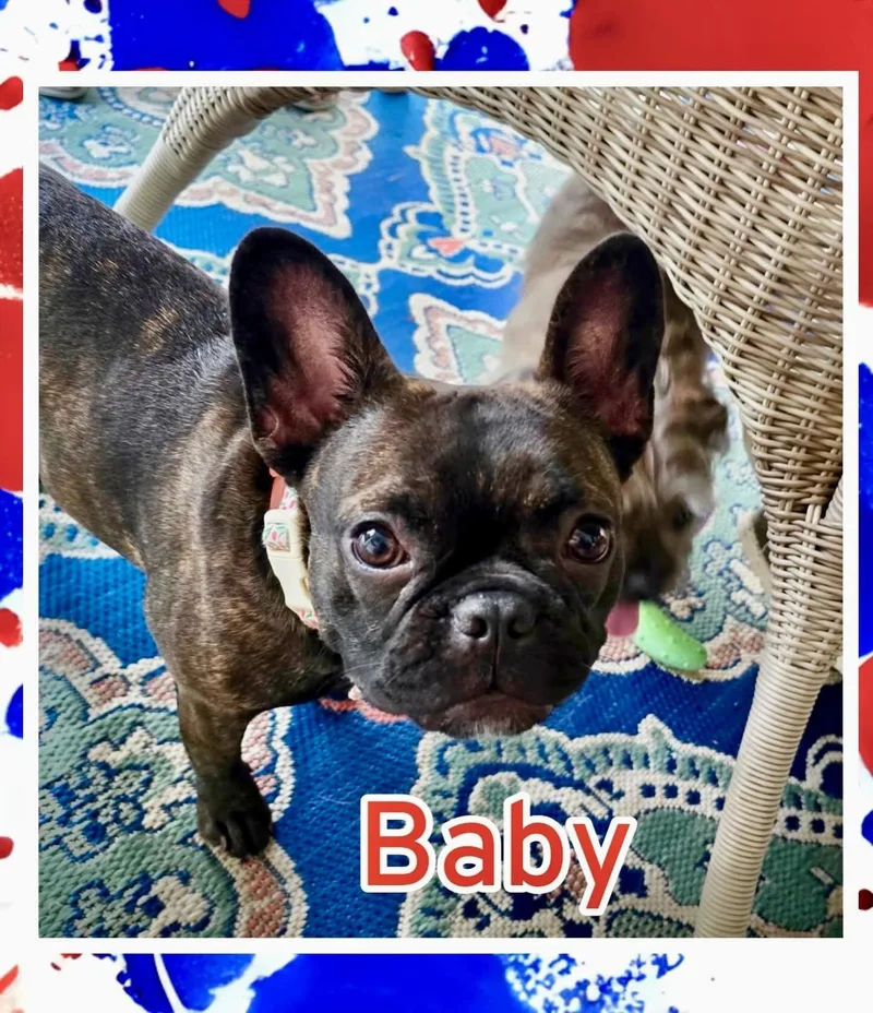 Baby thumbnail 2