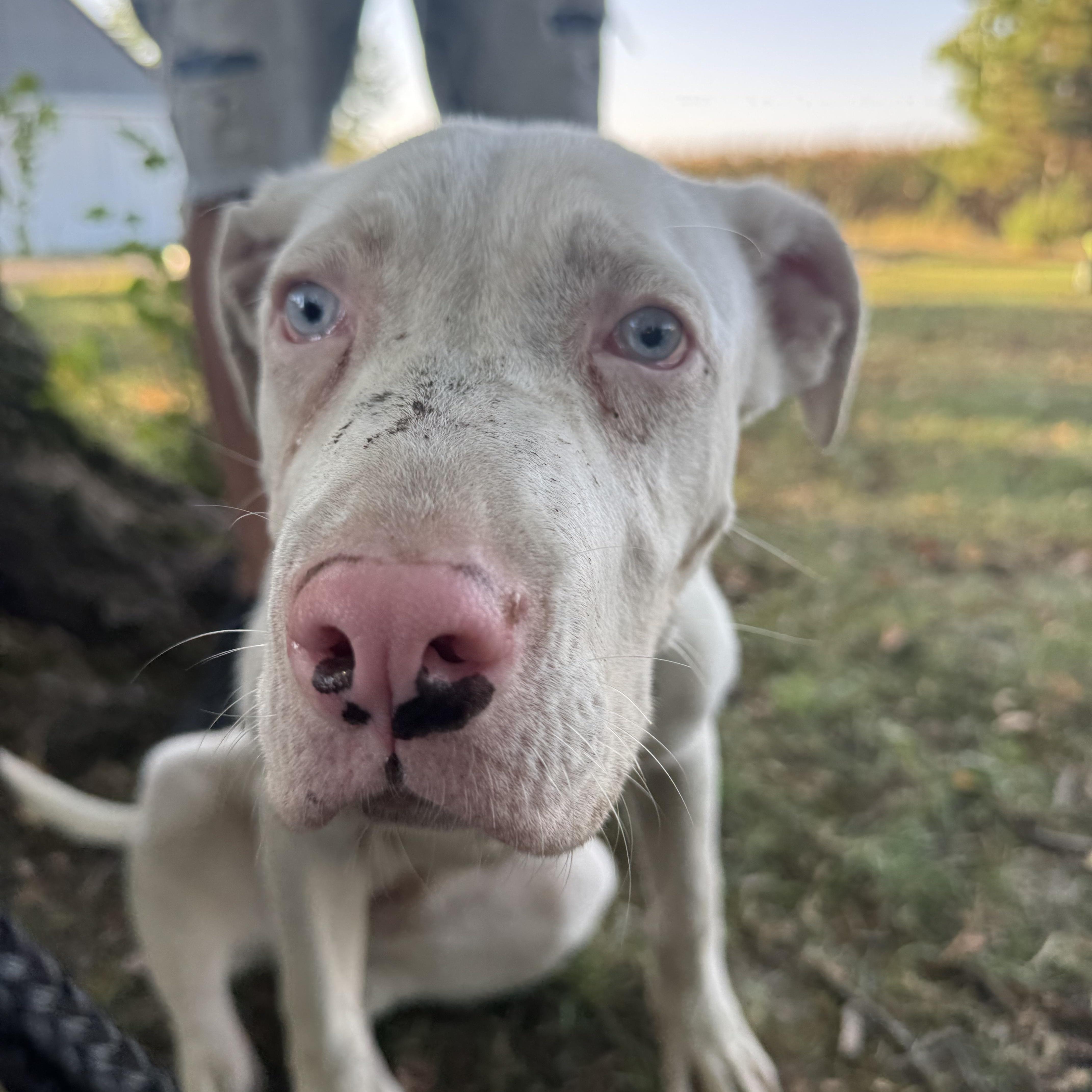 Malibu! Cute Sweet Girl! thumbnail 2