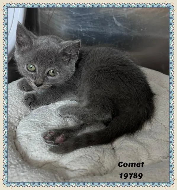 COMET see also COSMO