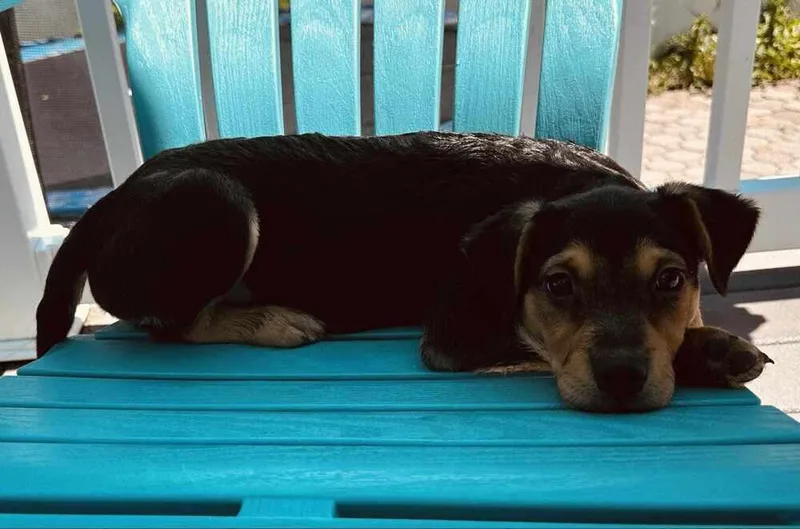 Brutemater thumbnail 2