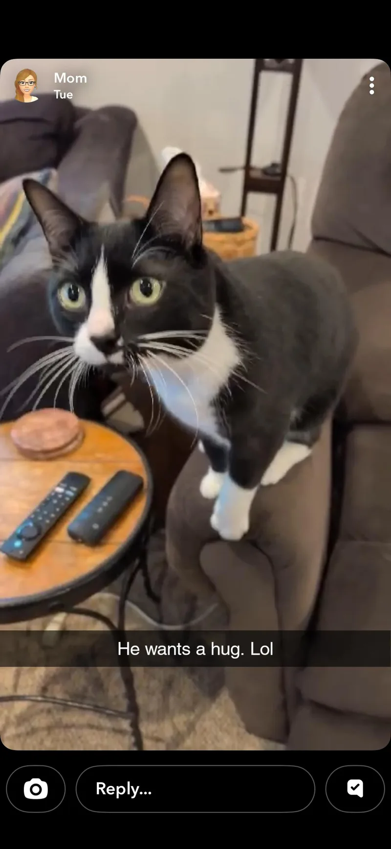 Chip & Spicy thumbnail 5
