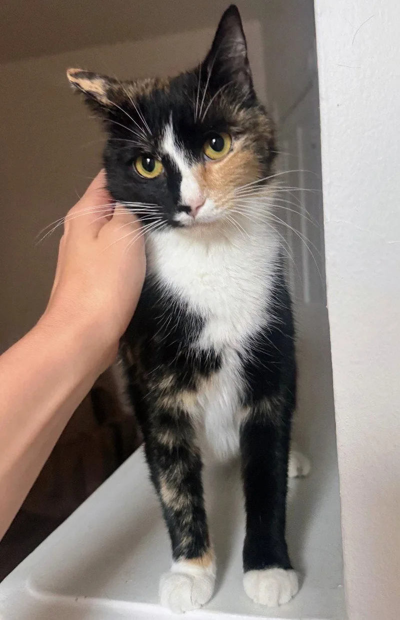 Winnie