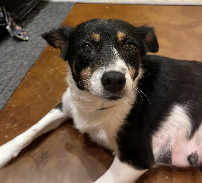 Maggie thumbnail 3