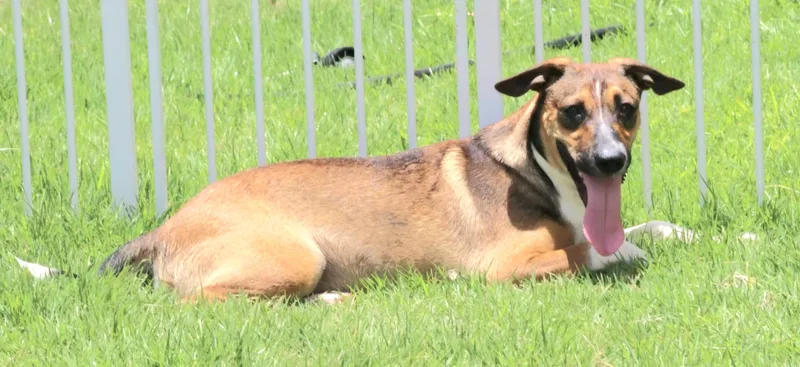 Ricky "i Am A thumbnail 3