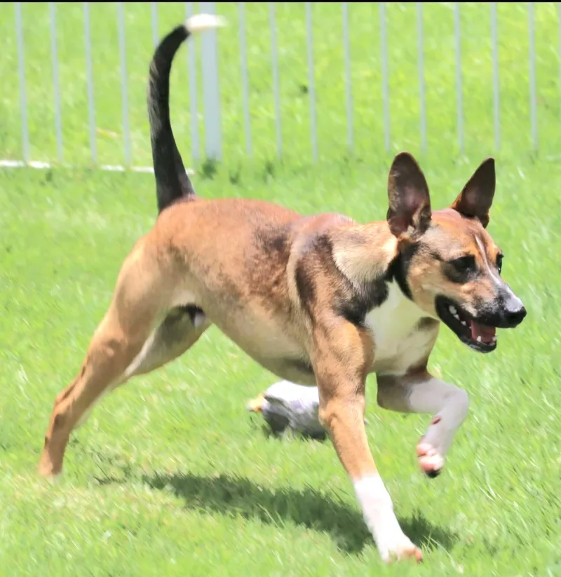 Ricky "i Am A thumbnail 4