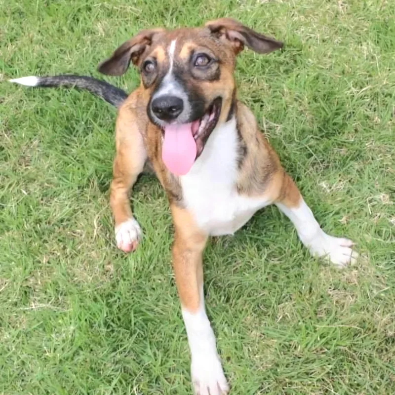 Ricky "i Am A thumbnail 5